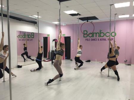 Фотография Bamboo Pole Dance & Fitness 4