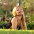 Екатерина Панченко